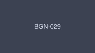 BGN-029