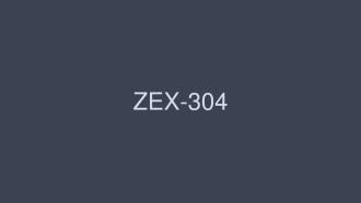 ZEX-304